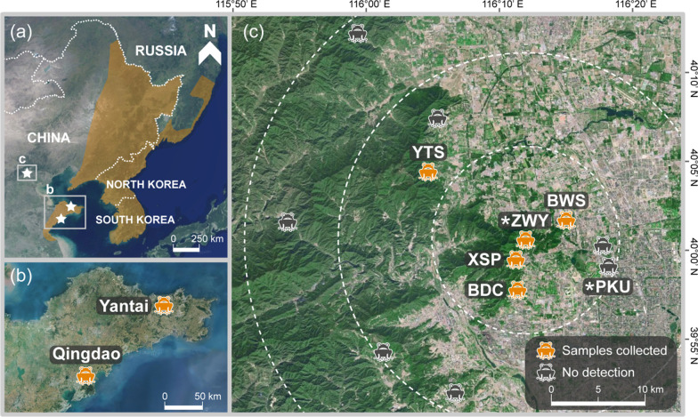 A centenary tale: population genetic insights into the introduction history of the oriental fire-bellied toad (Bombina orientalis) in Beijing.