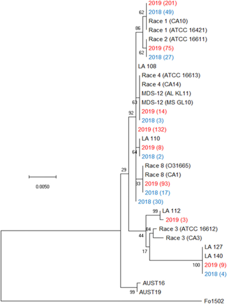 Diversity and temporal distribution of <i>Fusarium oxysporum</i> f. sp. <i>vasinfectum</i> races and genotypes as influenced by <i>Gossypium</i> cultivar.