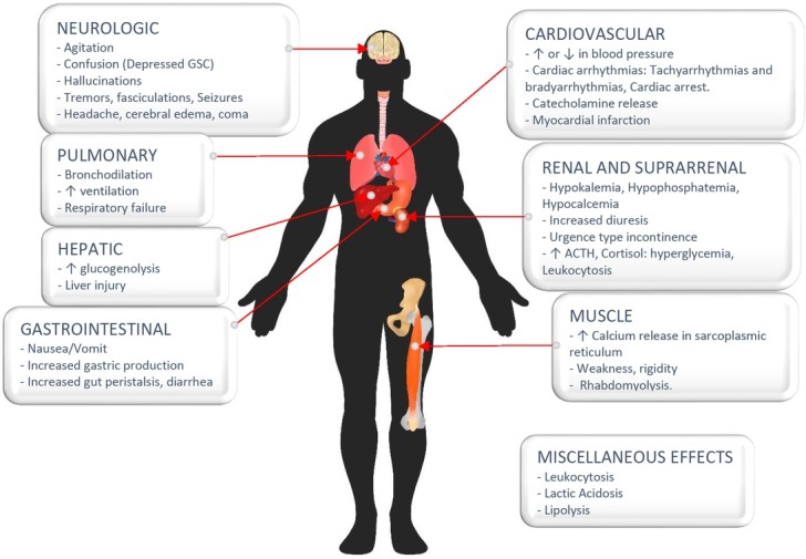 Treatment of Lethal Caffeine Overdose with Haemodialysis: A Case Report and Review.