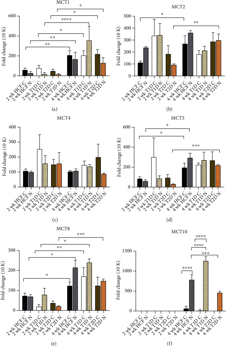 Monocarboxylate Transporters: Role and Regulation in Corneal Diabetes.