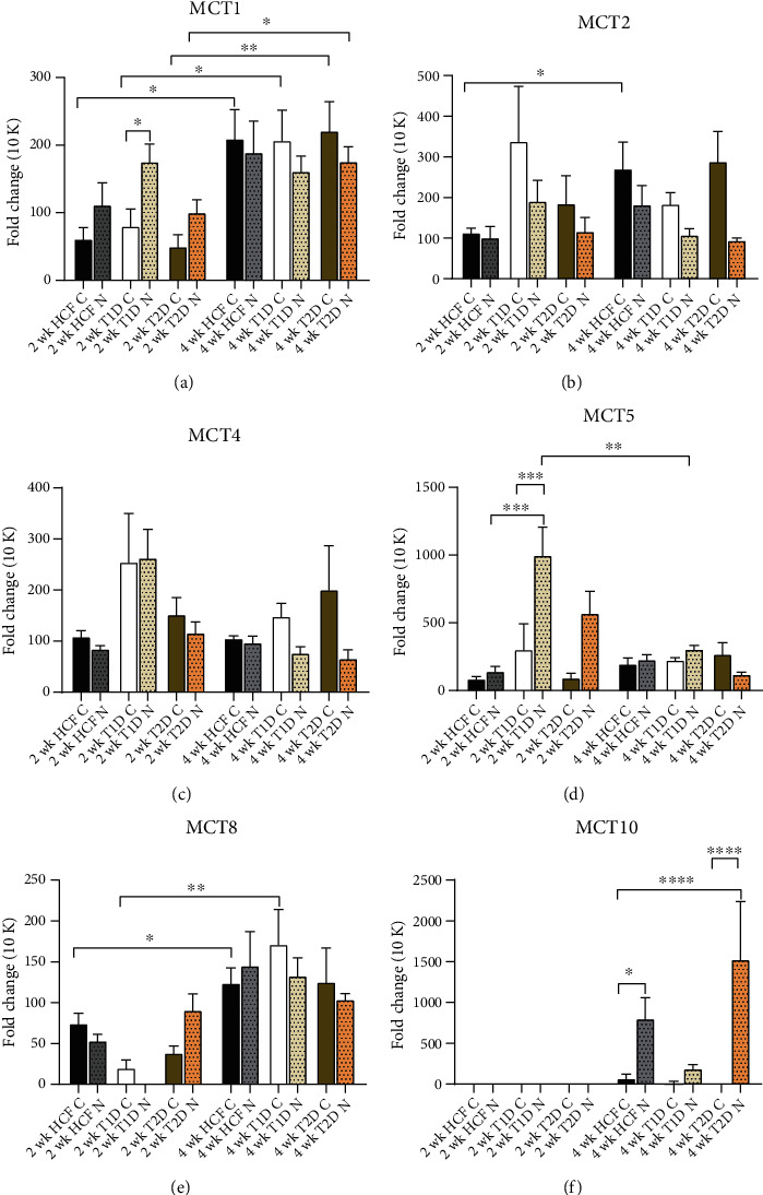 Monocarboxylate Transporters: Role and Regulation in Corneal Diabetes.