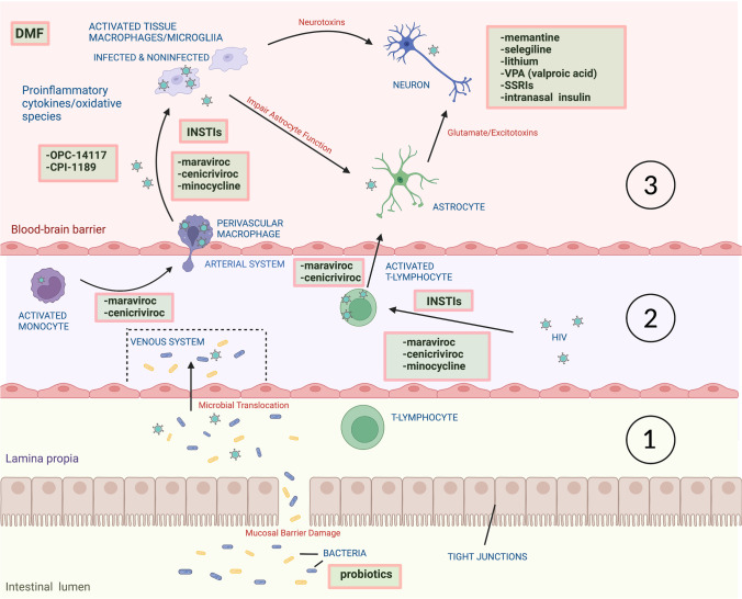 Developments in Neuroprotection for HIV-Associated Neurocognitive Disorders (HAND).