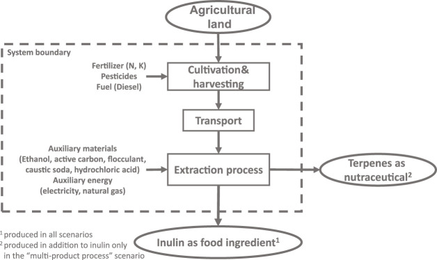 Environmental and socio-economic impacts of new plant breeding technologies: A case study of root chicory for inulin production.