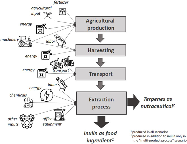 Environmental and socio-economic impacts of new plant breeding technologies: A case study of root chicory for inulin production.
