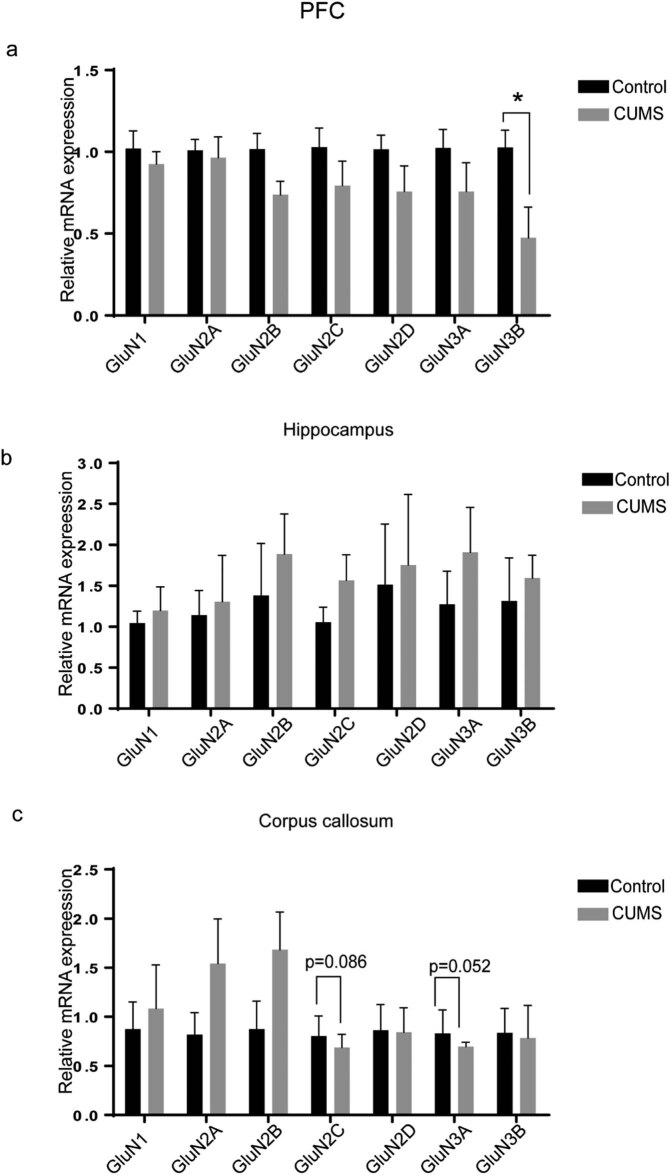 Alteration in NMDAR subunits in different brain regions of chronic unpredictable mild stress (CUMS) rat model.