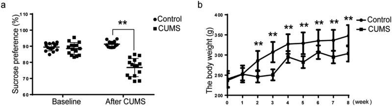 Alteration in NMDAR subunits in different brain regions of chronic unpredictable mild stress (CUMS) rat model.