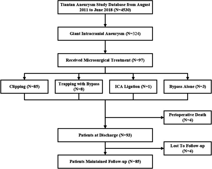 Risk factors and outcomes of postoperative stroke in surgical treatment for giant intracranial aneurysms.