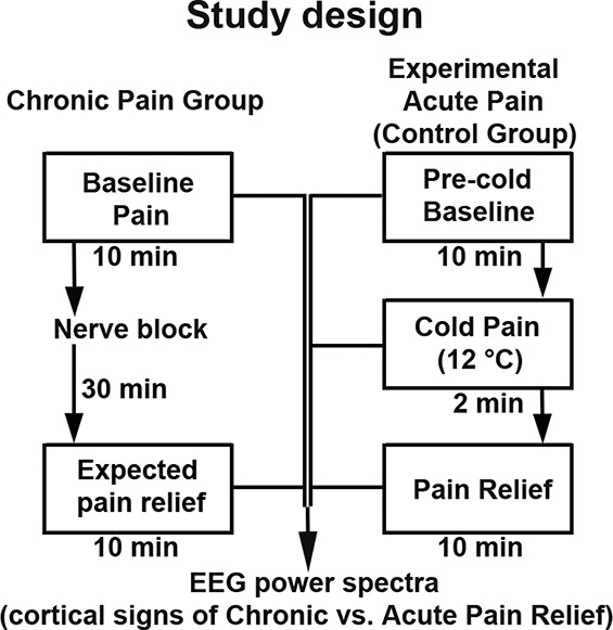 Relief of chronic pain associated with increase in midline frontal theta power.