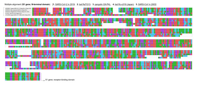 Insertion/deletion hotspots in the Nsp2, Nsp3, S1, and ORF8 genes of SARS-related coronaviruses.