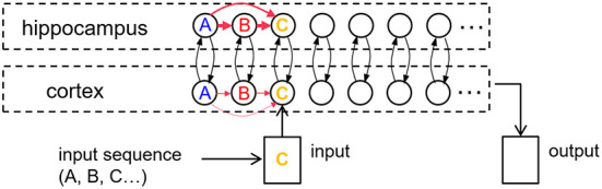 A model of bi-directional interactions between complementary learning systems for memory consolidation of sequential experiences.