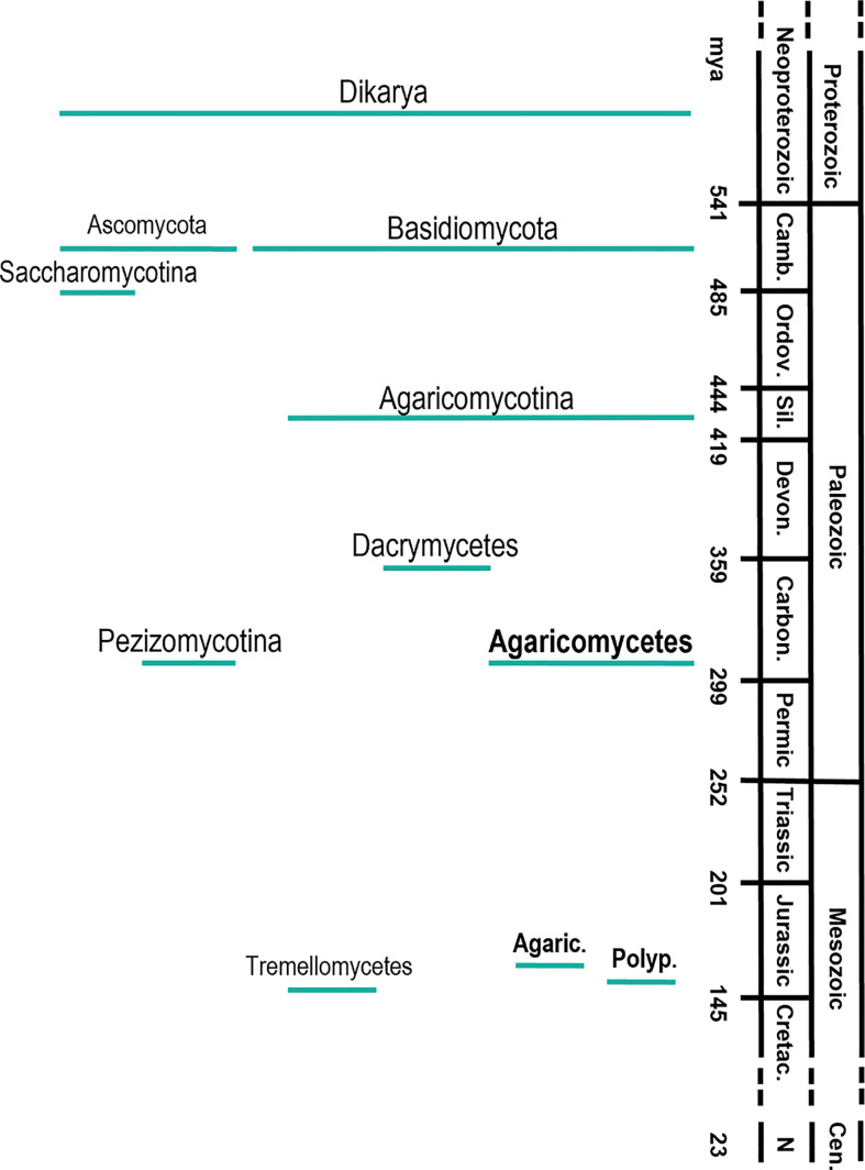 Ancestral sequence reconstruction as a tool to study the evolution of wood decaying fungi.