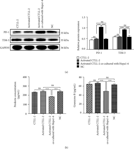 Depletion and Reversal of Hepatocellular Carcinoma Inducing CTL through ER Stress-Dependent PERK-CHOP Signaling Pathway.