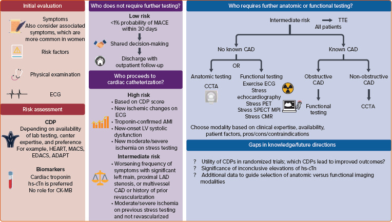 Contemporary Risk Stratification of Acute Coronary Syndrome.
