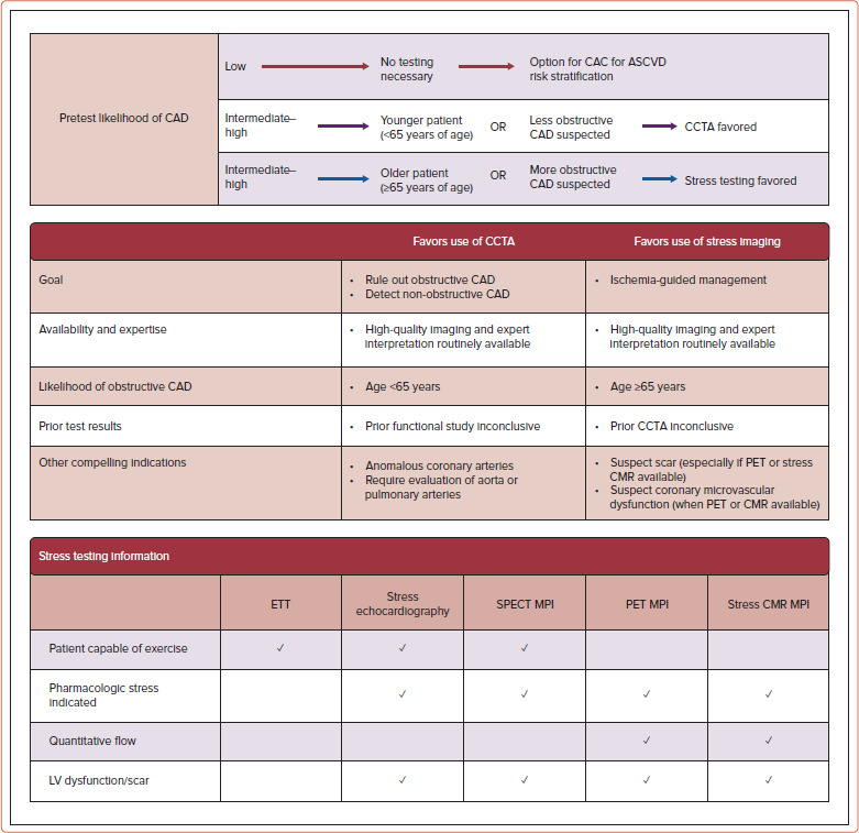 Contemporary Risk Stratification of Acute Coronary Syndrome.