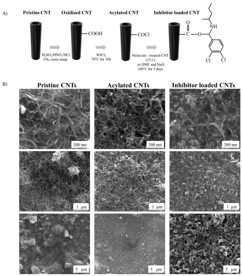 Detecting the PEX Like Domain of Matrix Metalloproteinase-14 (MMP-14) with Therapeutic Conjugated CNTs.