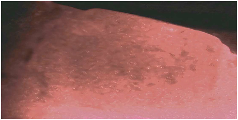 Abstract Image