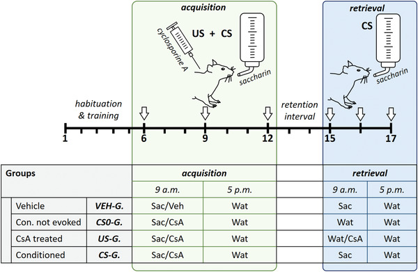 Taste-Associative Learning in Rats: Conditioned Immunosuppression with Cyclosporine A to Study the Neuro-Immune Network.