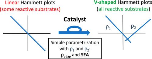 Parametrization of Catalytic Organic Reactions with Convex Hammett Plots