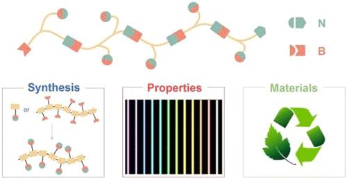 N-Coordinated Organoboron in Polymer Synthesis and Material Science