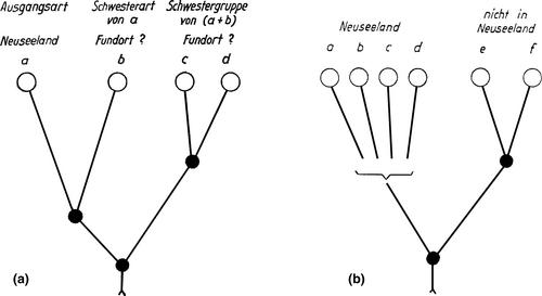 When phylogenetics met biogeography: Willi Hennig, Lars Brundin and the roots of phylogenetic and cladistic biogeography