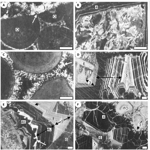 Carbon and oxygen isotope characteristics of the Clydach Valley Subgroup, Courceyan, South Wales-Mendip shelf, UK