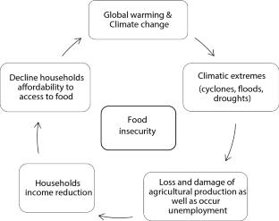 Nexus between climatic extremes and household expenditures in rural Bangladesh: a nationally representative panel data analysis