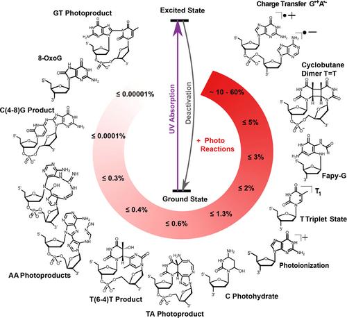 The Photophysics of Nucleic Acids: Consequences for the Emergence of Life