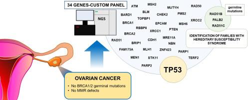 Targeted molecular profiling of epithelial ovarian cancer from Italian BRCA wild-type patients with a BRCA and PARP pathways gene panel