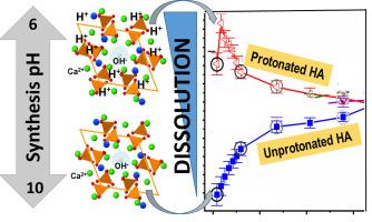 A novel route to enhance the dissolution of apatite: Structural incorporation of hydrogen phosphate