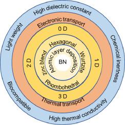 On functional boron nitride: Electronic structures and thermal properties