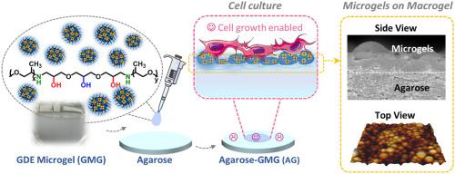 Microgels-on-macrogel: A simple cytophilic surface makeover of soft agarose substrates