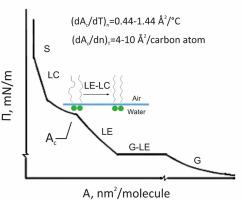 Molecular area dependences of monolayers at the air/water interface