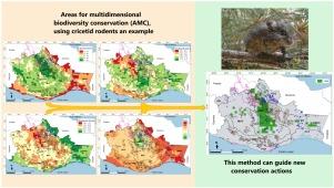 Identifying areas for multidimensional biodiversity conservation, with a case study in Oaxaca, Mexico