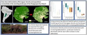 Jaguar (Panthera onca) population density and landscape connectivity in a deforestation hotspot: The Paraguayan Dry Chaco as a case study