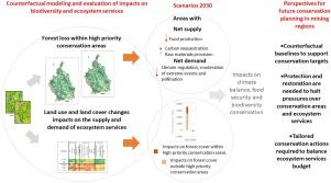 Considering counterfactual scenarios in conservation planning: Perspectives from a biodiverse mining area in the Atlantic Forest