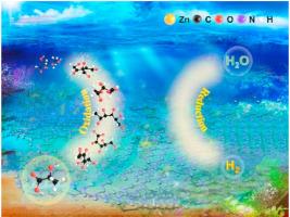 Single-atom zinc catalyst for co-production of hydrogen and fine chemicals in soluble biomass solution