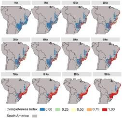 Scale affects the understanding of biases on the spatial knowledge of Atlantic Forest primates