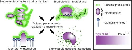 Solvent paramagnetic relaxation enhancement as a versatile method for studying structure and dynamics of biomolecular systems