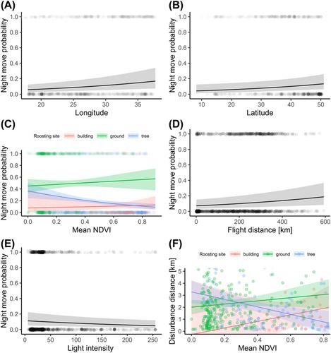 Secrets of the night: roost sites and sleep disturbance factors during the autumn migration of first-year white stork Ciconia ciconia