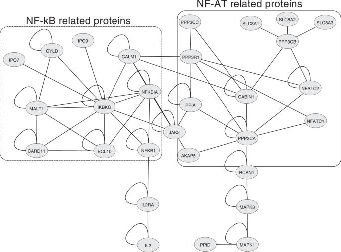 Protein network and pathway analysis in a pharmacogenetic study of cyclosporine treatment response in Greek patients with psoriasis