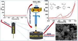 Electrochemical sensor for isoniazid detection by using a WS2/CNTs nanocomposite