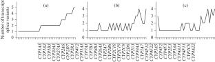 Splice Variants of mRNA of Cytochrome P450 Genes: Analysis by the Nanopore Sequencing Method in Human Liver Tissue and HepG2 Cell Line