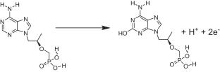 Facile One-Step Synthesis of Nickel Sulphide Nanoparticles Decorated Poly (Acrylic Acid) Coated Multi-Walled Carbon Nanotube for Detection of Tenofovir in Human Urine