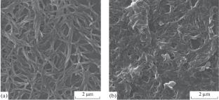 The Structure and Properties of a Biodegradable Grease with a Mixed Dispersion Medium and a Heterogeneous Lithium–Calcium Dispersed Phase