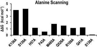 Evaluation of interactions between the hepatitis C virus NS3/4A and sulfonamidobenzamide based molecules using molecular docking, molecular dynamics simulations and binding free energy calculations