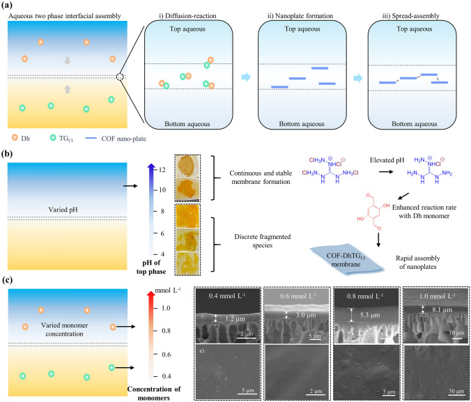 Aqueous Two-Phase Interfacial Assembly of COF Membranes for Water Desalination