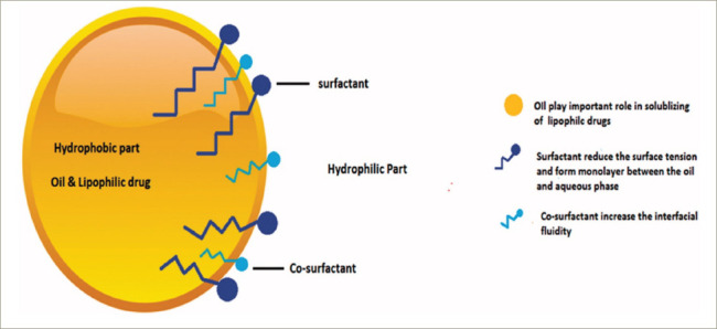 Testosterone Replacement Therapy: A Narrative Review with a Focus on New Oral Formulations.