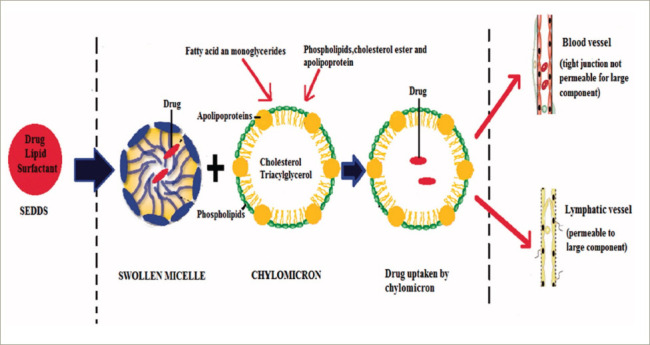 Testosterone Replacement Therapy: A Narrative Review with a Focus on New Oral Formulations.