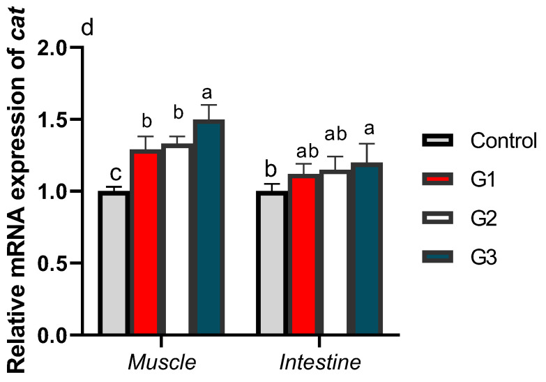 Exploring the Interactive Effects of Thymol and Thymoquinone: Moving towards an Enhanced Performance, Gross Margin, Immunity and <i>Aeromonas sobria</i> Resistance of Nile Tilapia (<i>Oreochromis niloticus</i>).