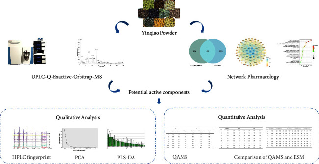 Establishment of Quality Evaluation Method for Yinqiao Powder: A Herbal Formula against COVID-19 in China.